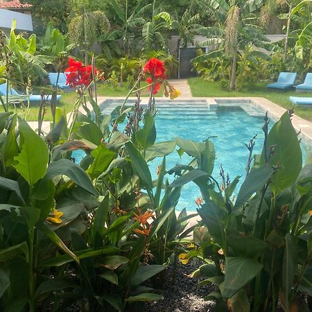 Hotel Good Life Coco Exteriör bild
