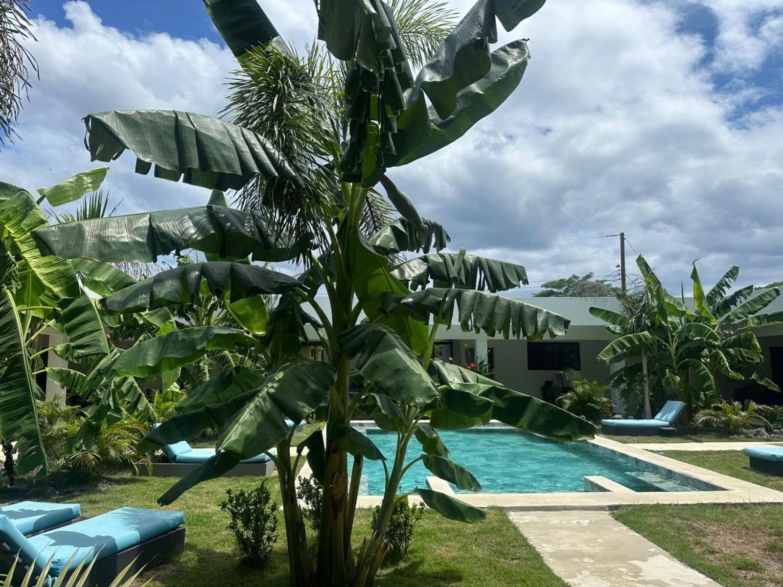 Hotel Good Life Coco Exteriör bild